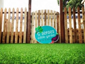 Read more about the article 5 Senses Edible Garden