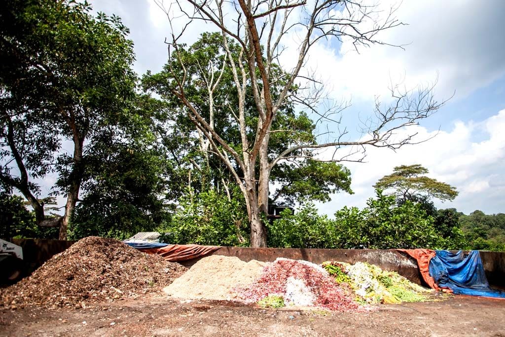 You are currently viewing A day learning about Composting